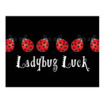 Ladybug Luck Post Card