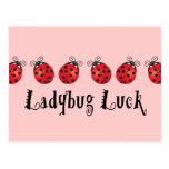 Ladybug Luck Post Cards