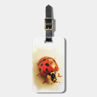 Ladybug Luggage Tag