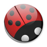 Ladybug Fridge Magnets
