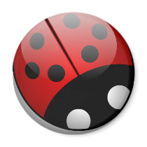 Ladybug Fridge Magnets