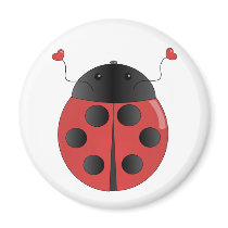 Ladybug magnets