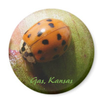 Ladybug Magnet