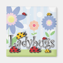 Ladybug Magnet magnets