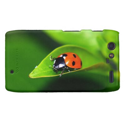 Ladybug Motorola Droid RAZR Cases