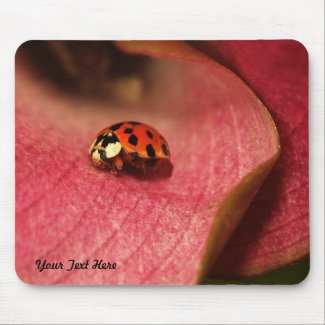 Ladybug Mousepad mousepad
