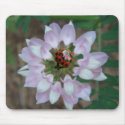 Ladybug Mousepad by Dearrell Ladybug Mousepad