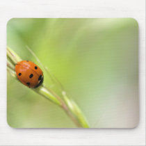 Ladybug Mousepad