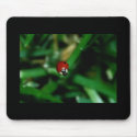 Ladybug Mousepad by janoka Ladybug Mousepad