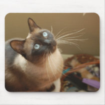 Ladybug Mousepad