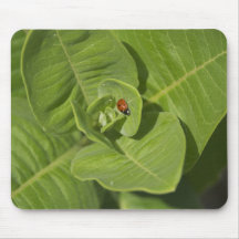 Ladybug Mousepad