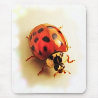 Ladybug Mousepad