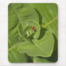 Ladybug Mousepad
