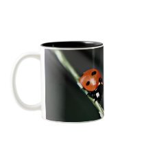Ladybug mug