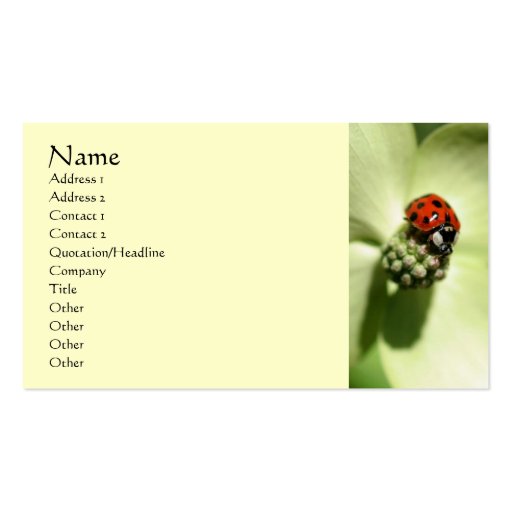 Ladybug Nature Photography Business Card