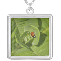 Ladybug Necklace