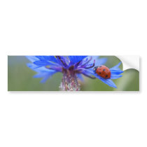 Ladybug on a blue cornflower bumper sticker