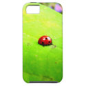Ladybug on a Catalpa Tree Leaf iPhone 5 Case