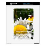 kindle ereader nook | ladybug, daisy, flowers, spring, floral, nature, ladybug, daisy, flowers, spring, floral, nature,