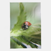 Ladybug on a leaf kitchen tea towel american mojo kitchen towels