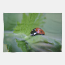 Ladybug on a leaf kitchen tea towel american mojo kitchen towels