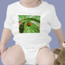 Ladybug on a leaf t-shirts