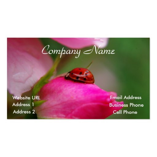 Ladybug on a rose business card (front side)