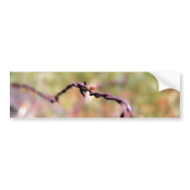 Ladybug on barbed wire. bumper stickers