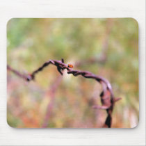 Ladybug on barbed wire. mousepad