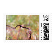 Ladybug on barbed wire postage stamp