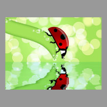 Ladybug on Leaf with Water Reflection Illustration posters