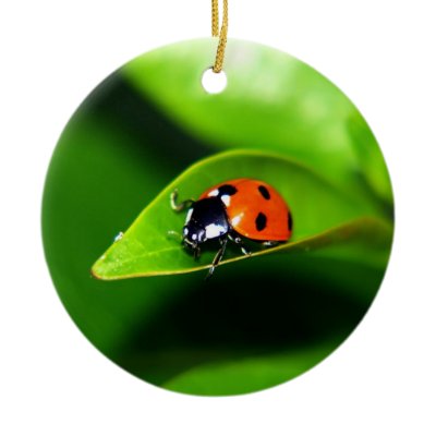 Ladybug ornaments
