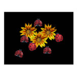 Ladybug Party Postcard