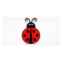 ladybug photo cards