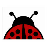 Ladybug post card