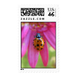 Ladybug Postage