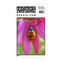 Ladybug Postage postage