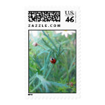Ladybug Postage