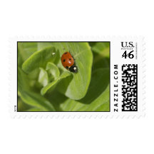 Ladybug Postage