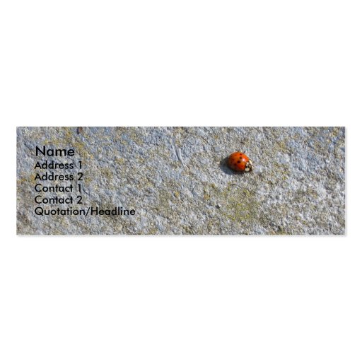 Ladybug Profile Card Business Card (front side)