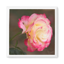 Ladybug Rose Magnet