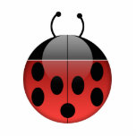 Ladybug Series 1 Photo Sculpture