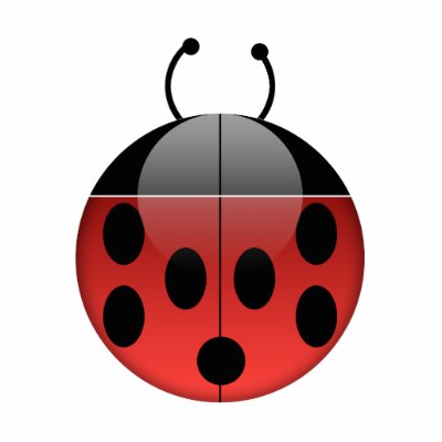 Ladybug Series 1 Photo Sculpture by estjohn