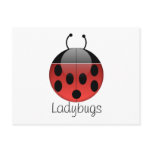 Ladybug Series 2 Postcard