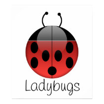 Ladybug Series 2 Print posters