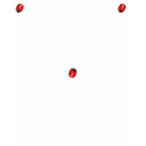 Ladybug shirt