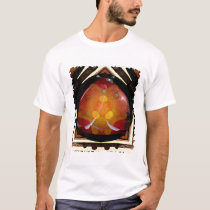 LADYBUG t-shirts