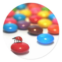 Ladybug Sticker
