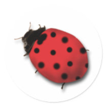 Ladybug Stickers