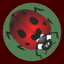 Ladybug Stickers Red Ladybugs Art Stickers stickers